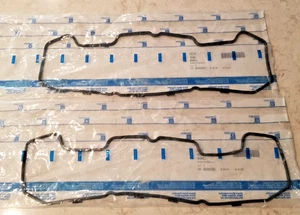 2 PCS GM OEM NOS 1645202 Valve Cover Gaskets Cadillac 4.1-4.5-4.9 see descript. - Bild 1 von 4