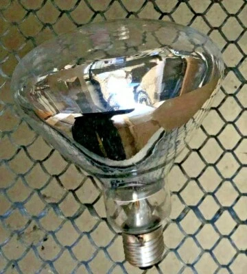 1 v. 50 Narva Infrarot Hochtemperaturstrahler II I NOS I 250 W I 225 V I E27