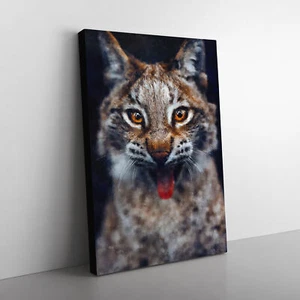 Lienzo lince gato arte de pared impresión cuadro enmarcado decoración del hogar sala dormitorio - Imagen 1 de 6