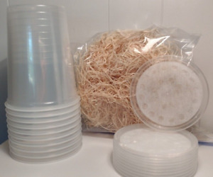 10 cups/lids and excelsior for fruit fly culture. Free shipping.