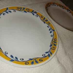 2 piatti Corelle By Corning Casa Flora da 10 pollici. Nuovo mai usato. - Foto 1 di 6