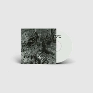 Whispering Sons The Great Calm (CD) Album - Bild 1 von 1