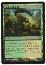 MTG Japanese Foil Stirring Wildwood Worldwake NM