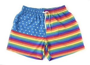 Chubbies Shorts Mens Swim Trunks Size Large 5.5” Love Is Love Flag Pride Rainbow - Picture 1 of 9