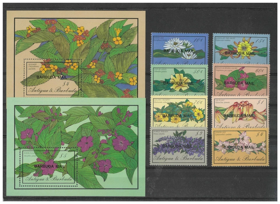 Barbuda 1986 Flowers Set of 8 Stamps & 2 Mini Sheets SG900/08 MUH 10-16 - Image 1 of 1