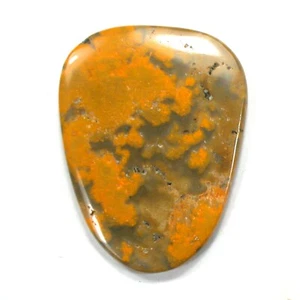DVH Bumble Bee Jasper Calcite Cabochon 2 Sided 49x37x6 (4078) - Picture 1 of 4