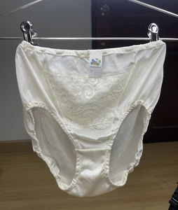 Bragas de bikini resbaladizas de nailon blanco transparente vintage talla 7/L calzoncillos de encaje floral - Imagen 1 de 22