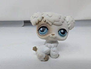 Original Littlest Pet Shop #203 Pudel Hund LPS - Bild 1 von 5