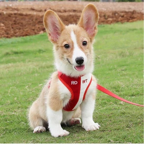 Breathable Pet Dog Harness Leash Suede Mesh Soft Puppy Cat Chest Strap Vest - Picture 1 of 6