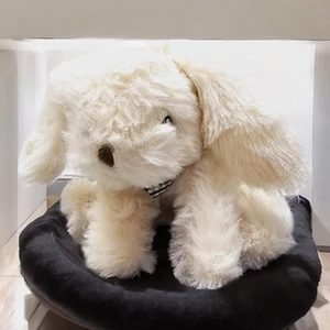 Greenbrier International Welpe Hase Plüschtier Stofftier Spielzeug Creme - Bild 1 von 9