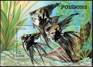 Guinea - 1998 - Fauna - BF nuovo (MNH) - Picture 1 of 1