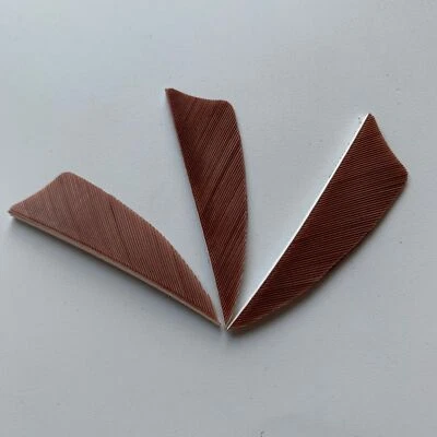 50 PCS 2Inch Shield Archery Arrow Feather Fletching For Hunting Right Wing - Image 1 of 4