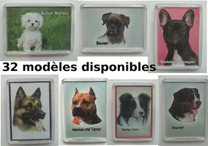 Magnet mit Hund, 33 Modelle zur Auswahl, Magnet, kostenloser Versand, Dog, Hond - Bild 1 von 34