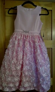 American Princess Pink Flower Holiday Dress size  10 NWT  MSRP $60 - Picture 1 of 6