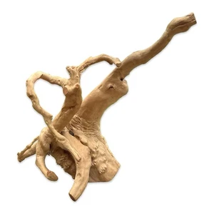 Madera de araña de raíz de árbol natural a la deriva? Decoración de naturaleza única retorcida - Imagen 1 de 8