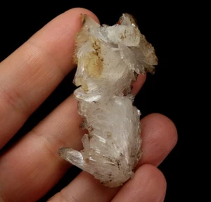 HEMIMORPHITE nice well formed crystals ------ MEXICO Durango OJUELA MINE /pd728 - Picture 1 of 9