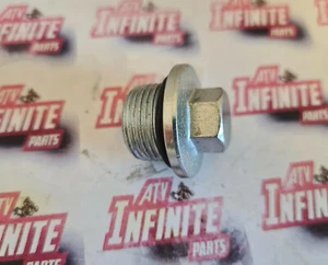 Yamaha Grizzly 660 2003-2008  Rear Diff Differential Fill Bolt Plug - Picture 1 of 3