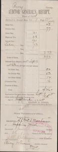 1894 Auditor General's Receipt Taxes Hopkins Michigan Barry County Original! - Picture 1 of 2