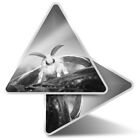 2 x Triangle Stickers  7.5cm - BW - Silkworm Moth Insect Macro Nature  #43527