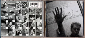 Paul McCartney-Driving Rain-Capitol CDP 35510-VTG 2001 DJ CD-NM-Saw Cut!! - Imagen 1 de 2