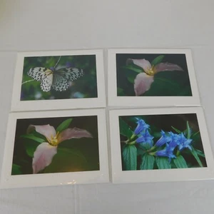 Ann Farley Photography Qty 4 Greeting Note Cards Butterfly Trillium Rudebeckia - Picture 1 of 9