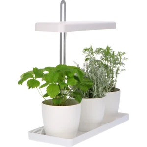 Proventa Mini-Gewächshaus mit 14 Watt LED-Pflanzlicht | Kräutergarten | Anzucht - Bild 1 von 1