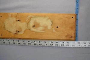 Oak Wood Backboard for Antique Wall Mount Coffee Grinder Parts for Repair - Picture 1 of 8