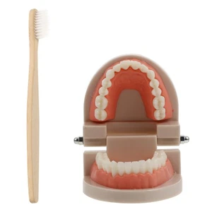 Set 2 Strumenti Spazzolino e Lavaggio Educazione Prima Infanzia Modello Dente Orale - Foto 1 di 12
