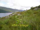 Photo 6x4 Loch Arkaig Coille nan Geur-oirean Shallow soils on the hillsid c2005