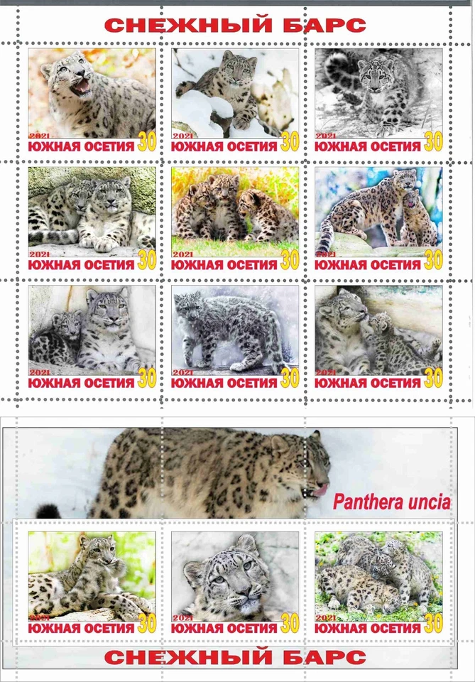 Stamp sheet+block Snowy Pantera 2021 South Ossetia issue Wild cats - Image 1 of 1