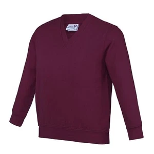 AWDis Academy Childrens/Kids Junior V Neck School Jumper/Sweatshirt (RW3925) - Picture 1 of 23
