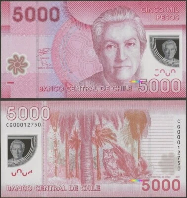 Chili P163H B298H 5000 PESOS 2021 Polymère @ Ebanknoteshop - Photo 1/3