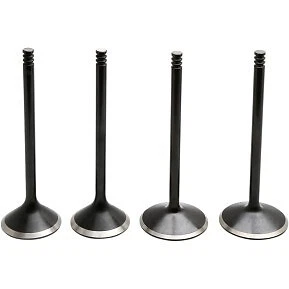 KIBBLEWHITE 20-23100 Engine Valve Kit- Twin Cam 05-17 - Image 1 of 1