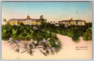 TARJETA POSTAL TIPO ALBER DE CAROLINA WINTER RESORT PINEHURST NC AÑOS 20-30 COLOREADA - Imagen 1 de 2