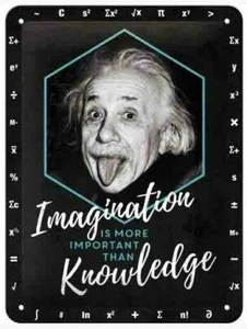 A5 Retro Embossed Tin Metal Sign EINSTEIN - IMAGINATION & KNOWLEDGE 15 x 20cm - Picture 1 of 3