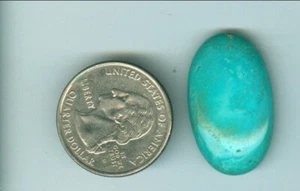 20 Carat Natural American Turquoise Free Form Fox Mine cab 18mm x 30mm - Picture 1 of 1