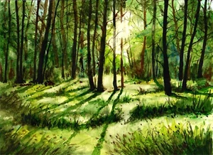 Sonnenlicht durch Waldbäume, Waldkunst, Wald Wanddeko, schönes Sonnenlicht - Bild 1 von 1