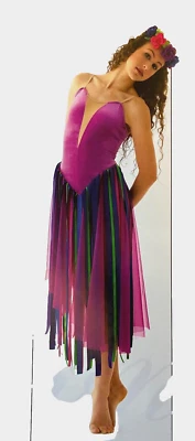 Adulto XL Disfraz de Baile Lírico Vestido CINTAS Princesa Cuento de Hadas Foto 1 de 2