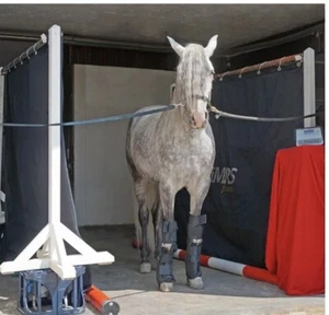 Magnetfeldtherapie für Tiere iMRS Fauna von Swiss Bionic Solution - Bild 1 von 3