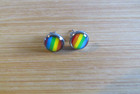 LGBT Rainbow Stripe Pride Flag Colours LGBTQ+ Silver Tone Stud Earrings 9mm
