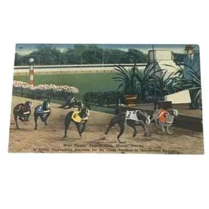 Postkarte West Flagler Kennel Club Miami Leinen B716 - Bild 1 von 2