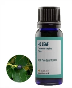 Ho Leaf  Ravinsara  100% Pure Essential Oil  30ml  50ml  - Picture 1 of 3