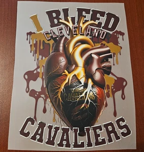 Cleveland Cavaliers Colorful 8" DTF Heat Transfer Iron On FREE Shipping (C4/2) - Picture 1 of 1