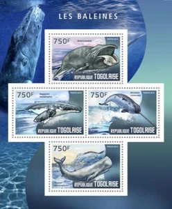 2014 TOGO MNH. WHALES. Yvert&Tellier Code: 3988-3991 | Michel Code: 6021-6024 - Picture 1 of 1