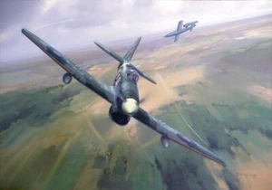 Hawker Tempest 486 Escuadrón Nueva Zelanda Aviación Arte Estampado Darryl Legg - Imagen 1 de 1