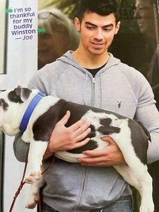 Joe Jonas, The Jonas Brothers, Full Page Vintage Pinup - Picture 1 of 1
