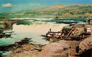 Celilo Falls on the Columbia River, Oregon Vintage PC Chrome Mike Roberts - Picture 1 of 2
