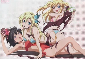 poster promo Boku wa Tomodachi ga Sukunai Fate Zero anime Sena Yozora Saber - Picture 1 of 3