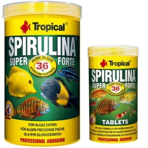 Tropical Spirulina Super forte 36 % 1000 ml + 250 ml Spirulina Forte 36 % Tabs - Bild 1 von 1