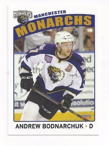 2013-14 Manchester Monarchs (AHL) Andrew Bodnarchuk (Nürnberg Ice Tigers)